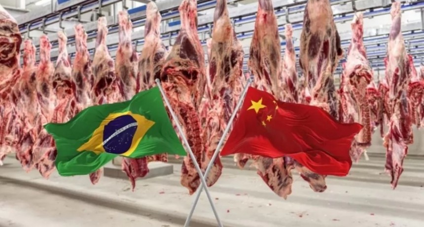 Brasil busca compensaciones tras el golpe arancelario chino