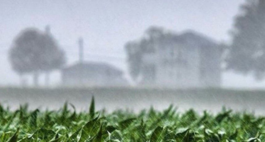 Alerta meteorológica, el alivio del viento sur llega acompañado de tormentas fuertes.