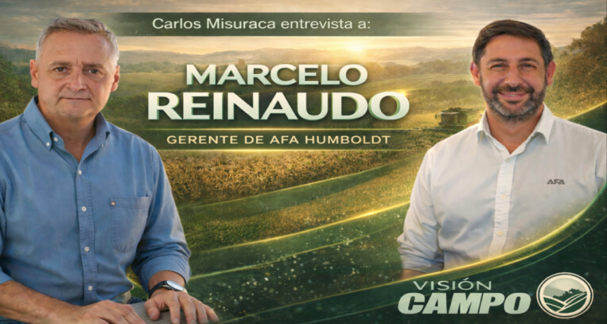 Ensayos locales que marcan el rumbo