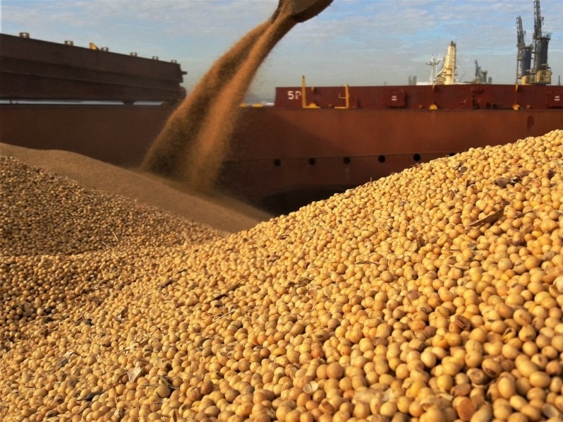 Con el regreso del viejo esquema, se dispara la carrera por declarar exportaciones