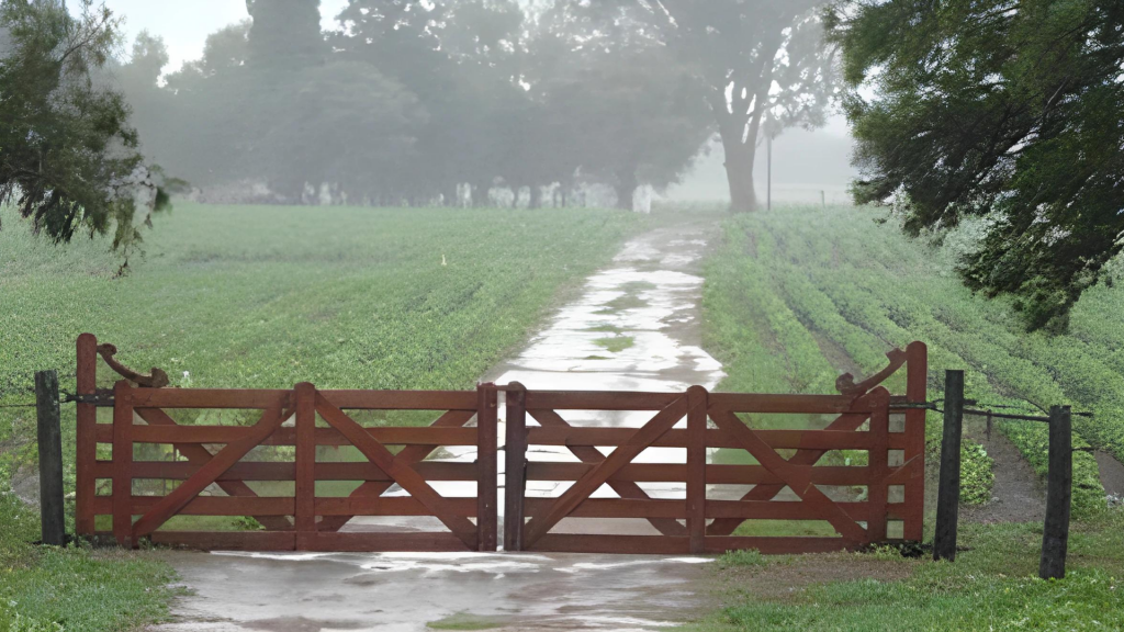 Las lluvias siguen beneficiando a la región núcleo y suman volúmenes importantes.