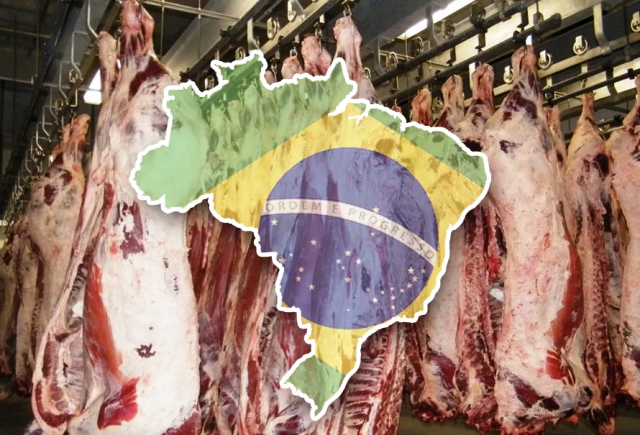 Récord histórico en exportación de carne vacuna fresca en octubre: Brasil alcanza 270,3 mil toneladas exportadas