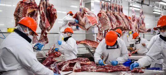 Exportaciones de Carne y Consumo Interno: Un Crecimiento Impulsado por la Eliminación de Retenciones