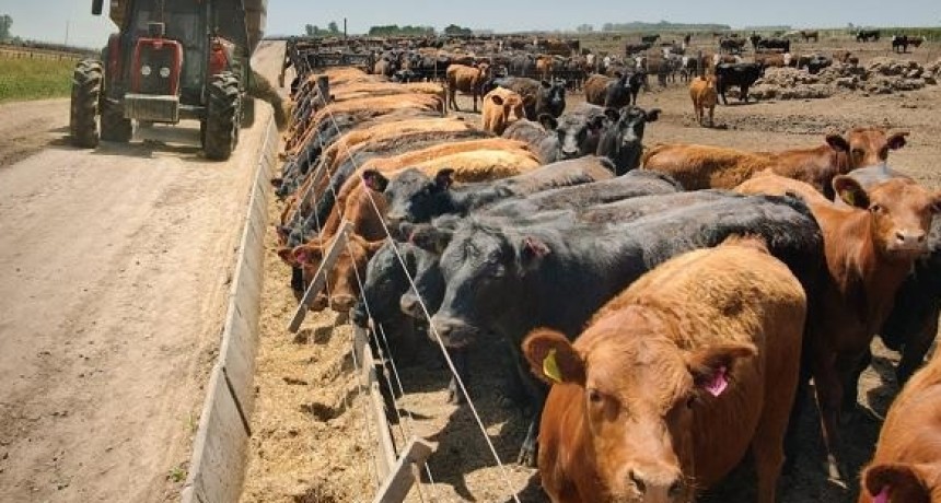 Menos hacienda en los corrales refleja el menor ritmo de reposición