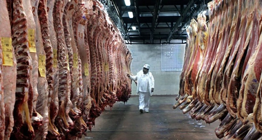 Brasil y Uruguay lideran el crecimiento de las exportaciones de ganado vivo