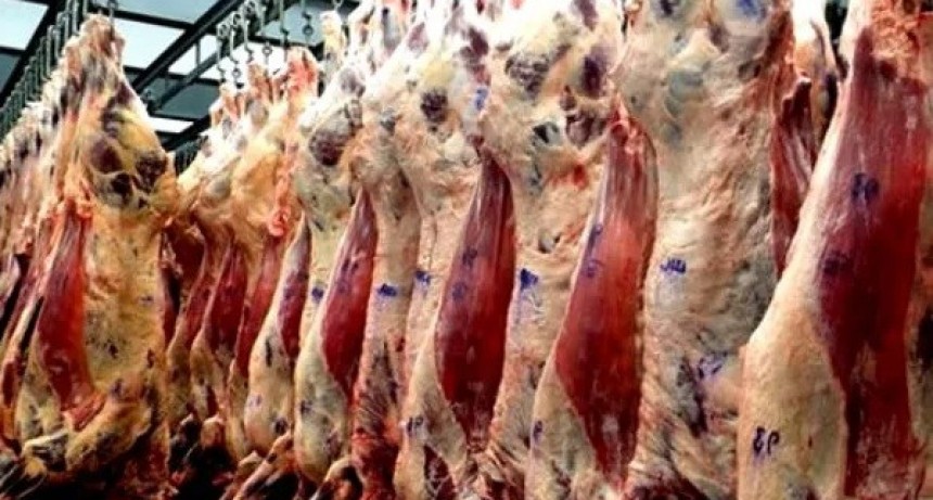 Cae la faena en octubre por menor envío de hacienda a los frigoríficos