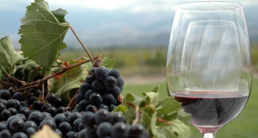Polémica por desregulación del vino: bodegas y gremios enfrentados por la nueva norma.