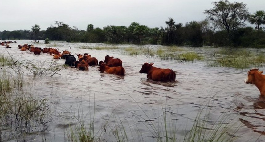 Inundaciones en campos bonaerenses: cómo acceder a los beneficios fiscales y financieros previstos por ley.