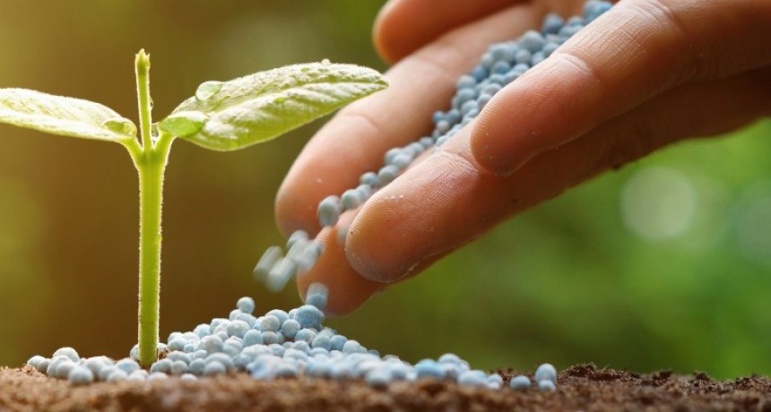 Fertilizantes por las nubes, rentabilidad de los cereales, en riesgo.