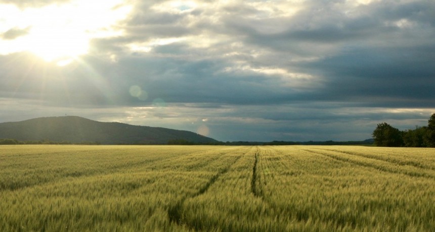Lluvias en retroceso y señales firmes de La Niña