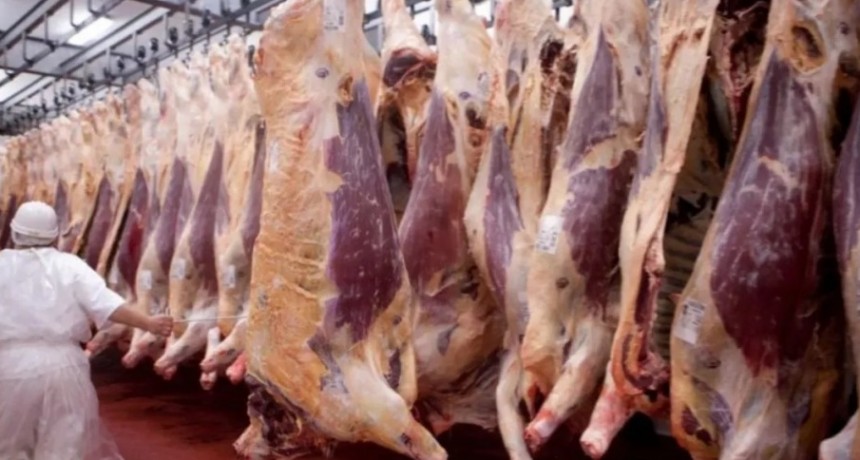 Las exportaciones de carne impulsan una fuerte suba en los ingresos