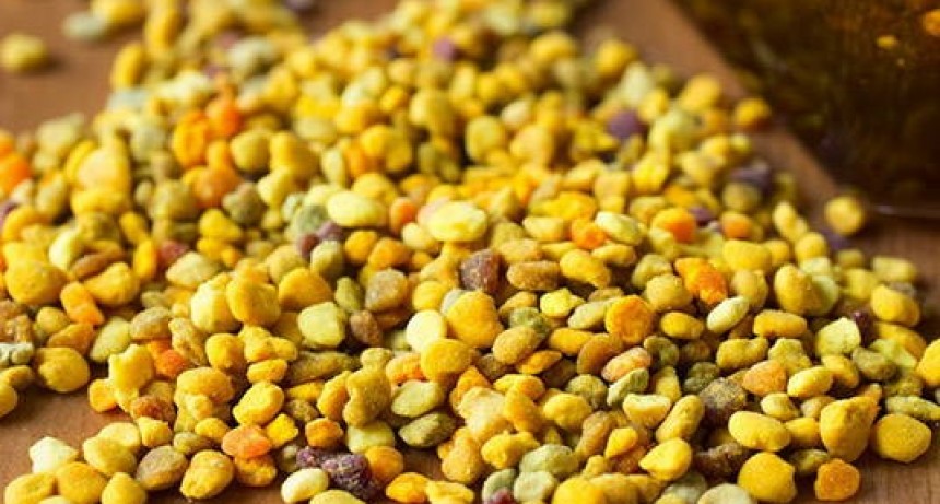 Apicultura, el polen de alto valor suma una nueva fuente de ingresos.