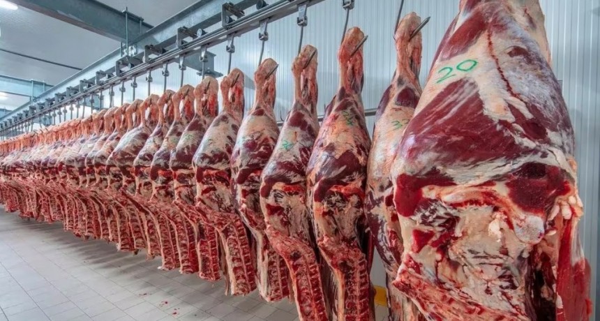 Se enfría el ritmo de certificaciones de carne para exportar