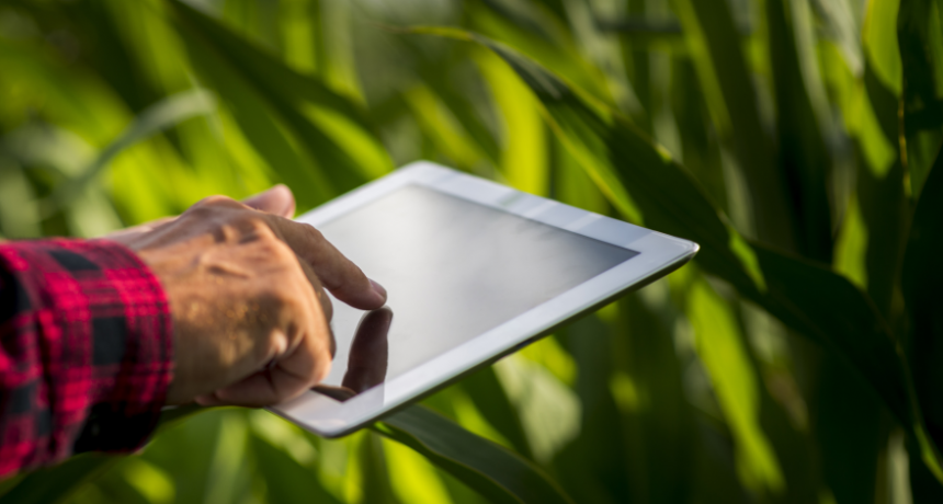 La digitalización redefine la rentabilidad del agro: Agrospot impulsa un nuevo modelo comercial para productores y compradores