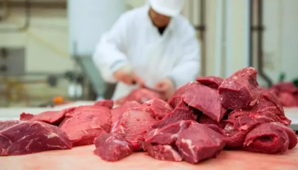 El consumo de carne vacuna se fortalece, pero la rentabilidad de los frigoríficos sigue en tensión