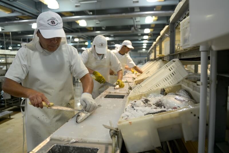 Mar del Plata, quieren acercar el consumo de pescado a los más chicos.