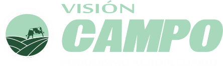 visioncampo.com.ar visioncampo.com.ar