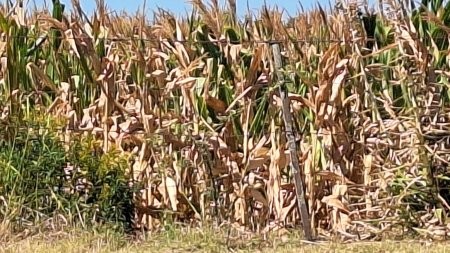 La sequía se expande y el mapa pasa de amarillo a rojo.