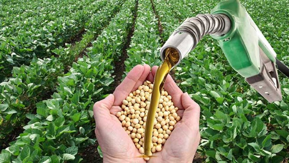  Inminente cierre de las exportaciones de Biodisel de Soja a a la UE