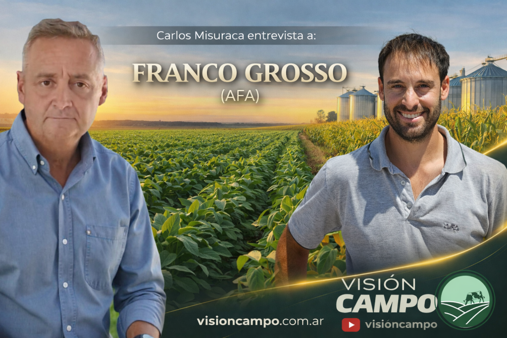 El girasol vuelve a jugar en primera