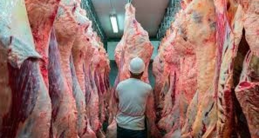 La exportación de carne vacuna alcanzó niveles nunca vistos