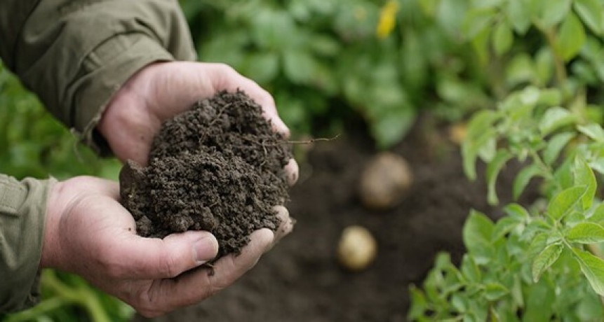 Hambre de suelo, los dos micronutrientes que el Norte está olvidando reponer.