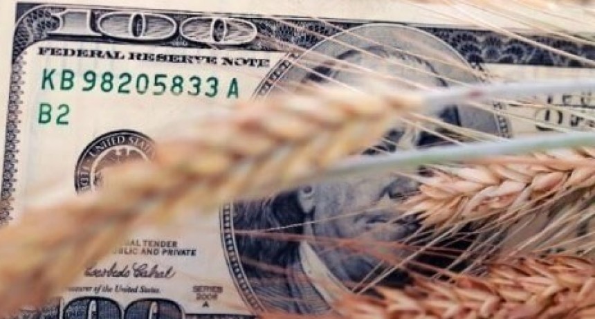 Trigo récord rescata la liquidación de divisas en enero ante una soja frenada.