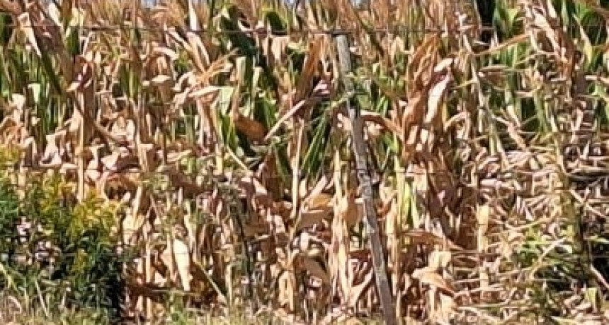 La sequía se expande y el mapa pasa de amarillo a rojo.