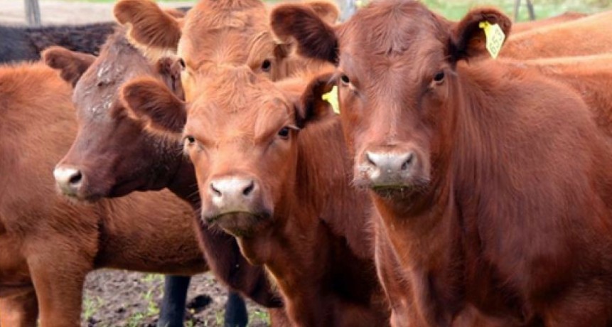 Menos hacienda en Cañuelas
