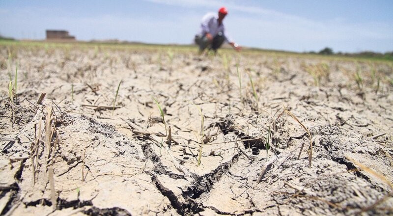 Déficit Hídrico en la zona núcleo: Alarma por impacto en cultivos de Maíz y Soja