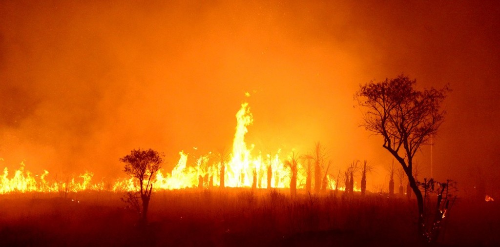 Infierno en Corrientes: el fuego arrasó más de 100 mil hectáreas