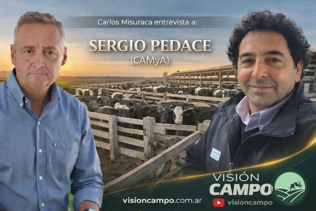 La escasez de livianos reordena los precios