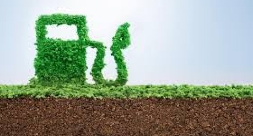 El Gobierno actualizó los precios de los biocombustibles para febrero