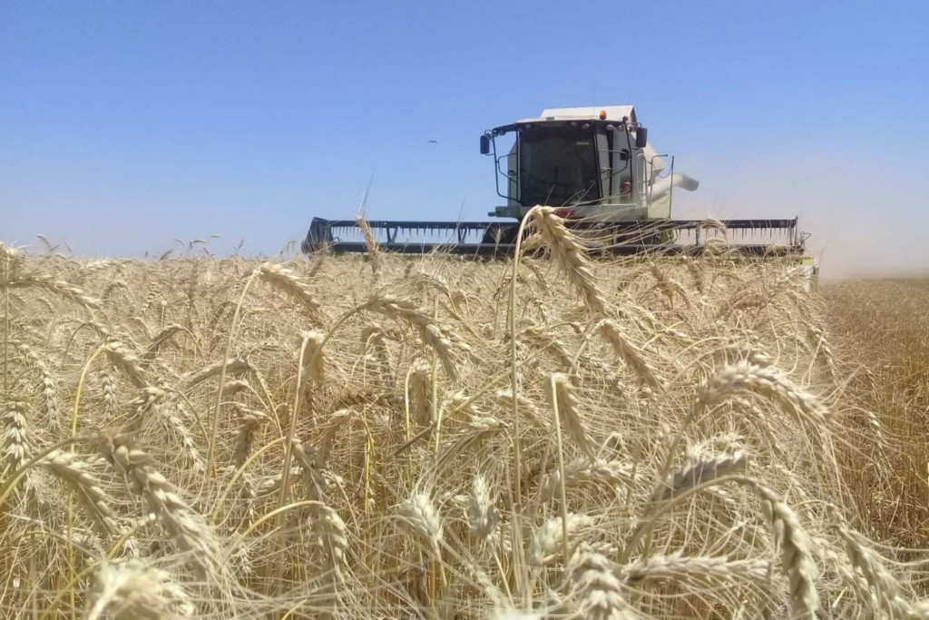 Desde Córdoba suspiran nuevos vientos positivos para el trigo.