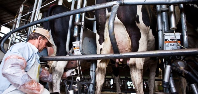 Impulso millonario para tambos santafesinos