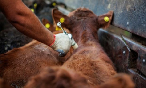 Luz verde para importar insumos veterinarios
