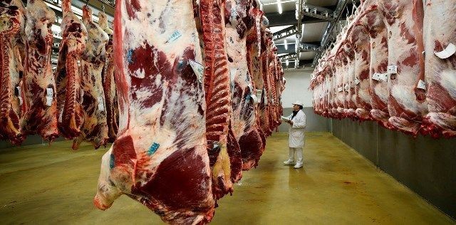 Repunta la faena vacuna y da señales positivas para el sector