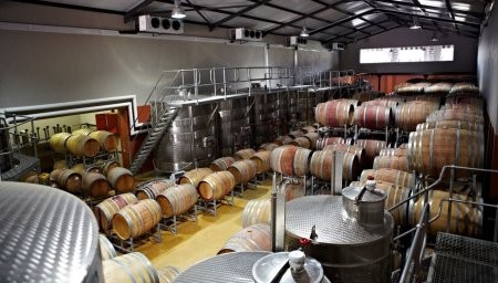 Las bodegas invierten en infraestructura pese al contexto adverso