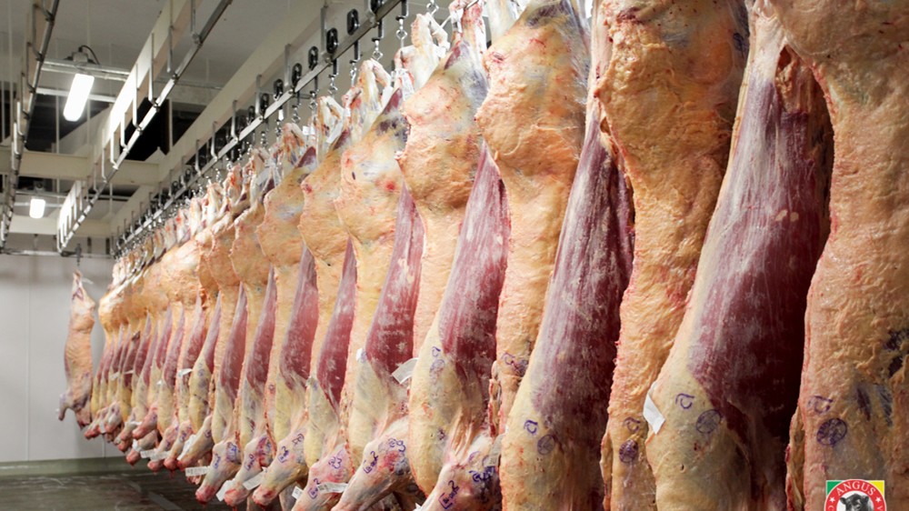 Frigoríficos Santafesinos Preocupados por la Caída en el Consumo de Carne