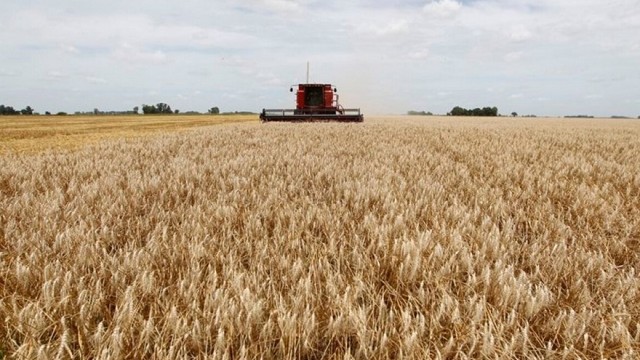 Lorena D’Angelo anticipa señales clave para el agro