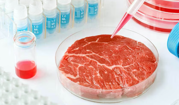 Texas le cierra la puerta a la carne de laboratorio
