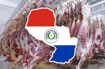 Paraguay alcanza cifras históricas en exportación de carne