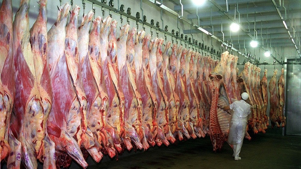 Más carne con la misma faena: sube el peso promedio por res