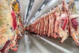  Sube la producción de carne bovina en el primer semestre de 2025