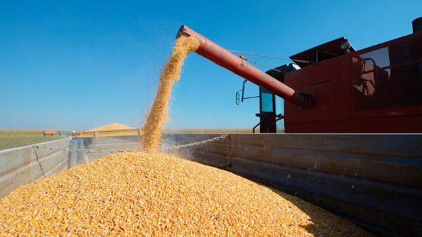 Cargill lidera un semestre récord de exportaciones argentinas