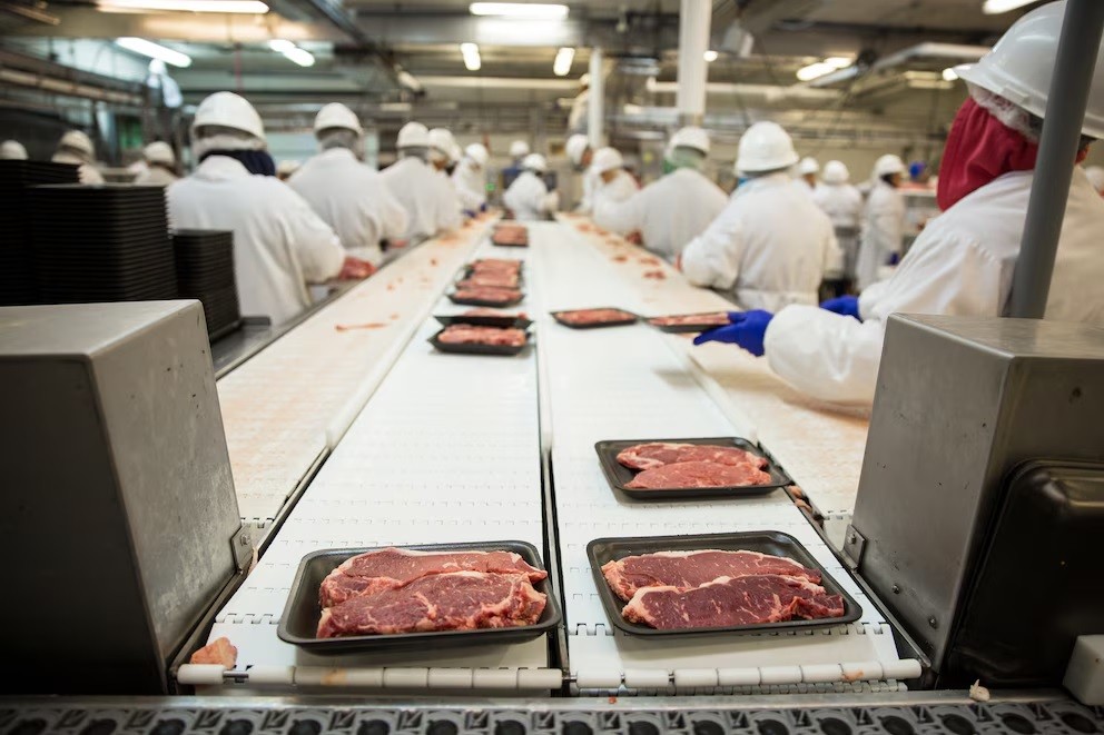 Brasil: Crece la incertidumbre en la industria cárnica