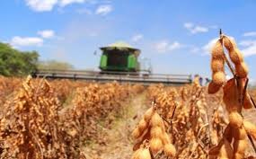El agro proyecta u$s 28.800 millones extra en 10 años