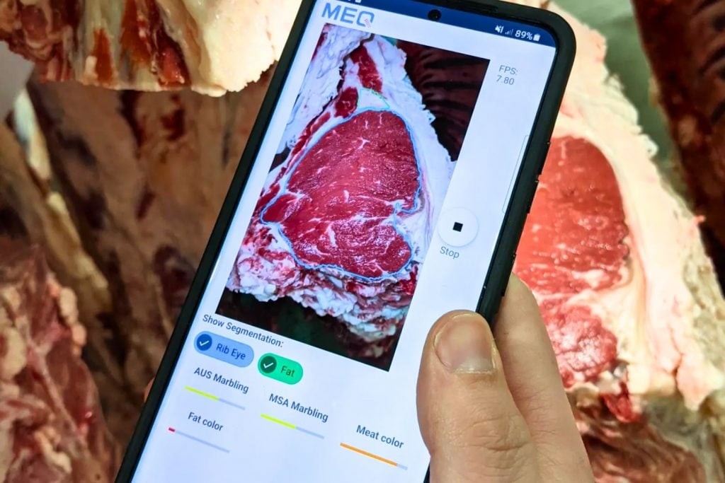 Revolución en el gancho: Cámaras australianas cambian la forma de clasificar la carne