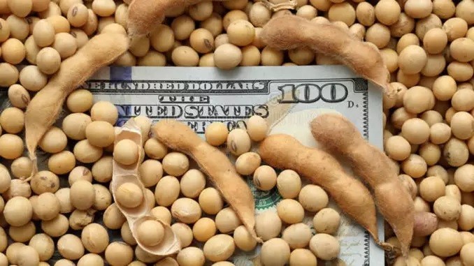 Julio marcó un récord histórico en ingreso de divisas por exportaciones del agro