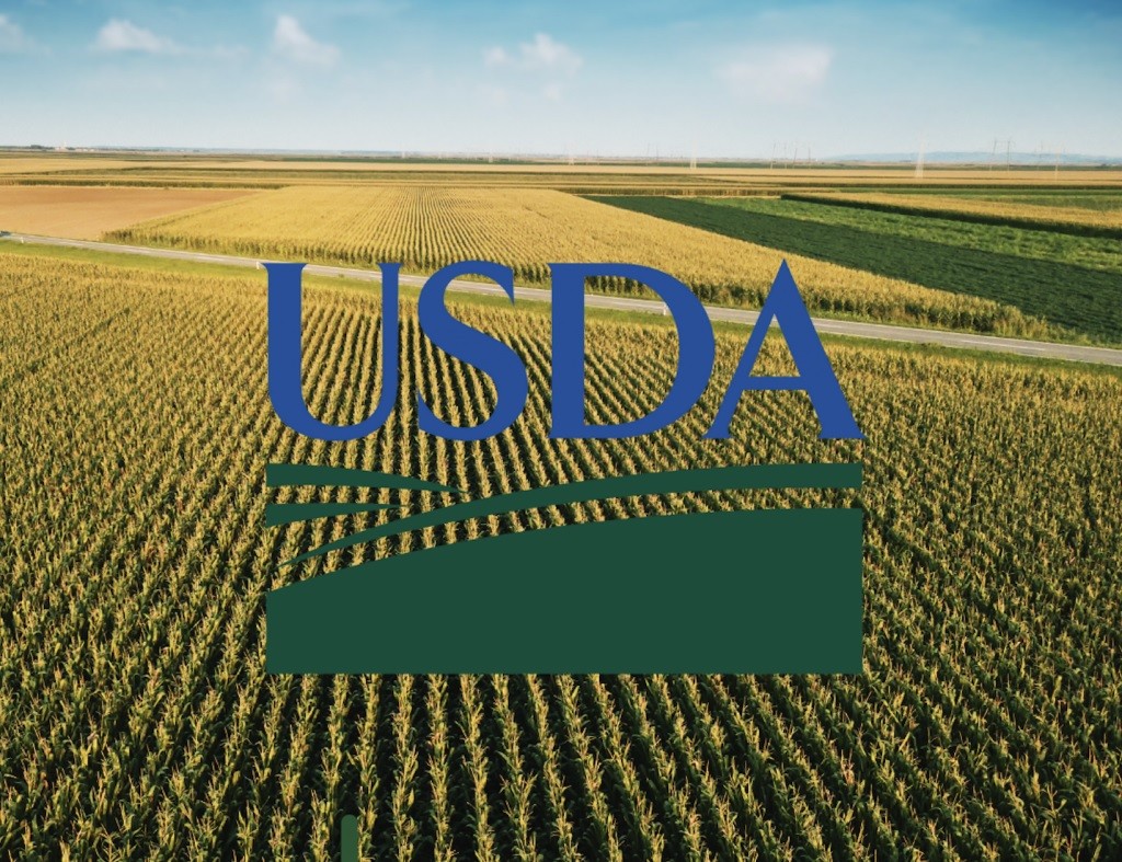 Estados Unidos recorta proyecciones de trigo y muestra señales mixtas en maíz y soja